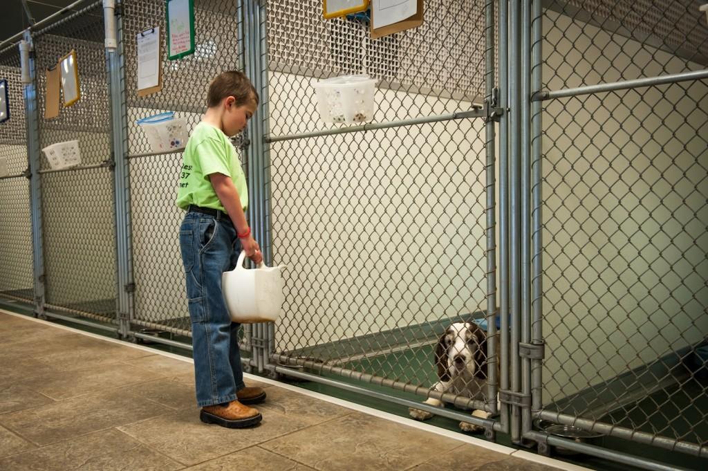 Four Paws Pet Resort A vacation for them, peace of mind for you