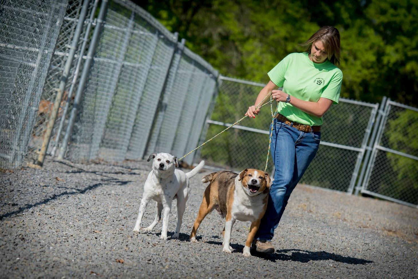 Home - Four Paws Pet Resort - Four Paws Pet Resort