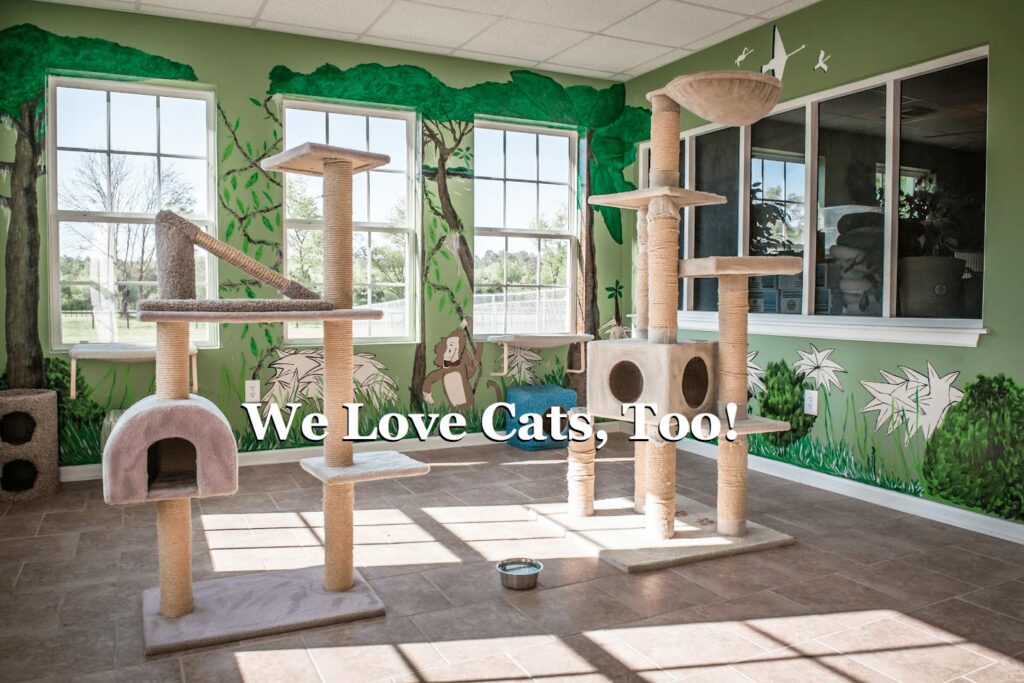 Four Paws Pet Resort – A Vacation For Them, Peace Of Mind For You