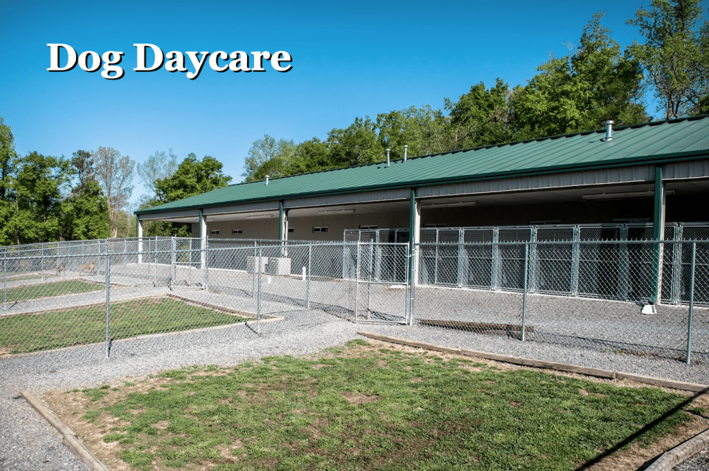 Four Paws Pet Resort A vacation for them, peace of mind for you