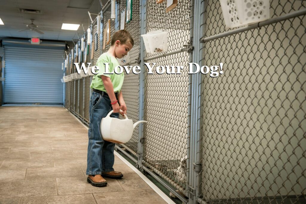 Four Paws Pet Resort A vacation for them, peace of mind for you